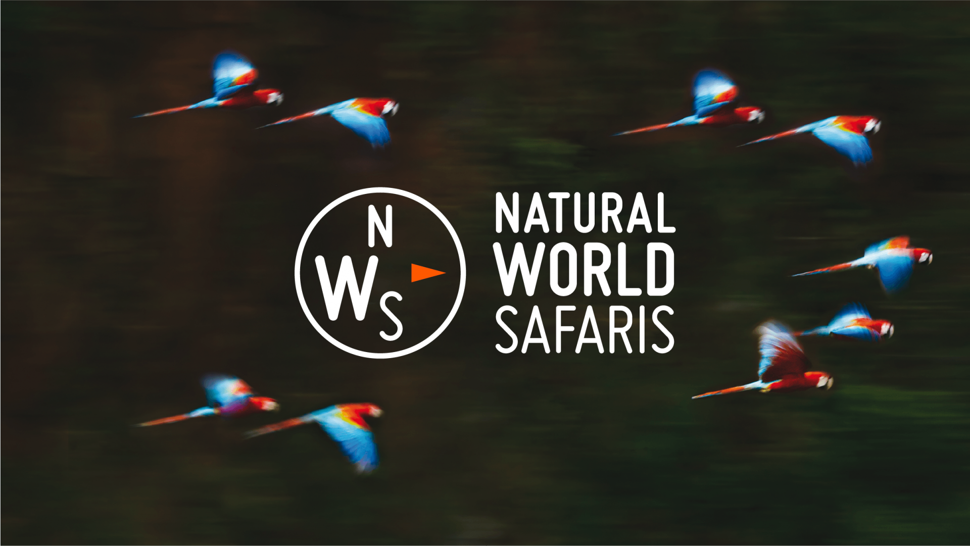 natural world safaris linkedin